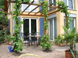 Foto: Einfamilienhaus  in Sulzbach-Soden